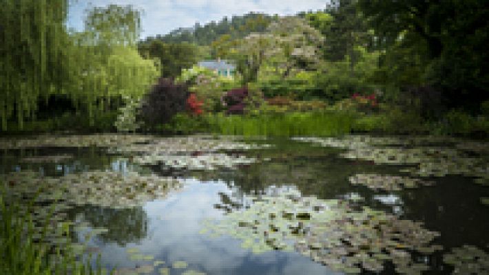 Cultura en Rtve.es - Tráiler de 'Pintando el jardín moderno: de Monet a Matisse'