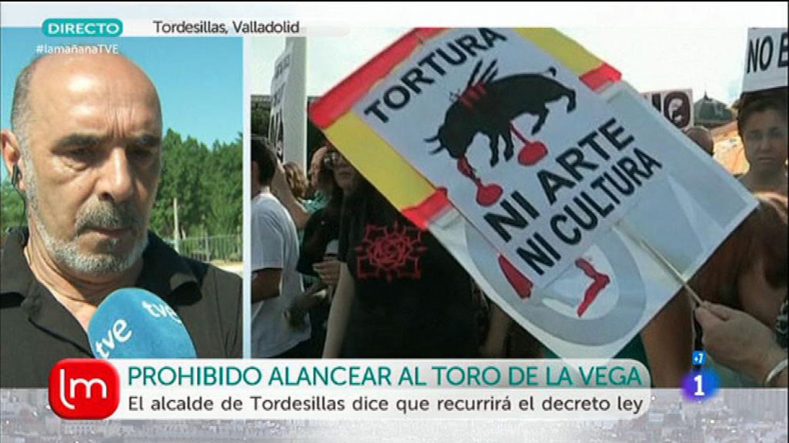 Castilla y León prohíbe lancear y matar al Toro de la Vega