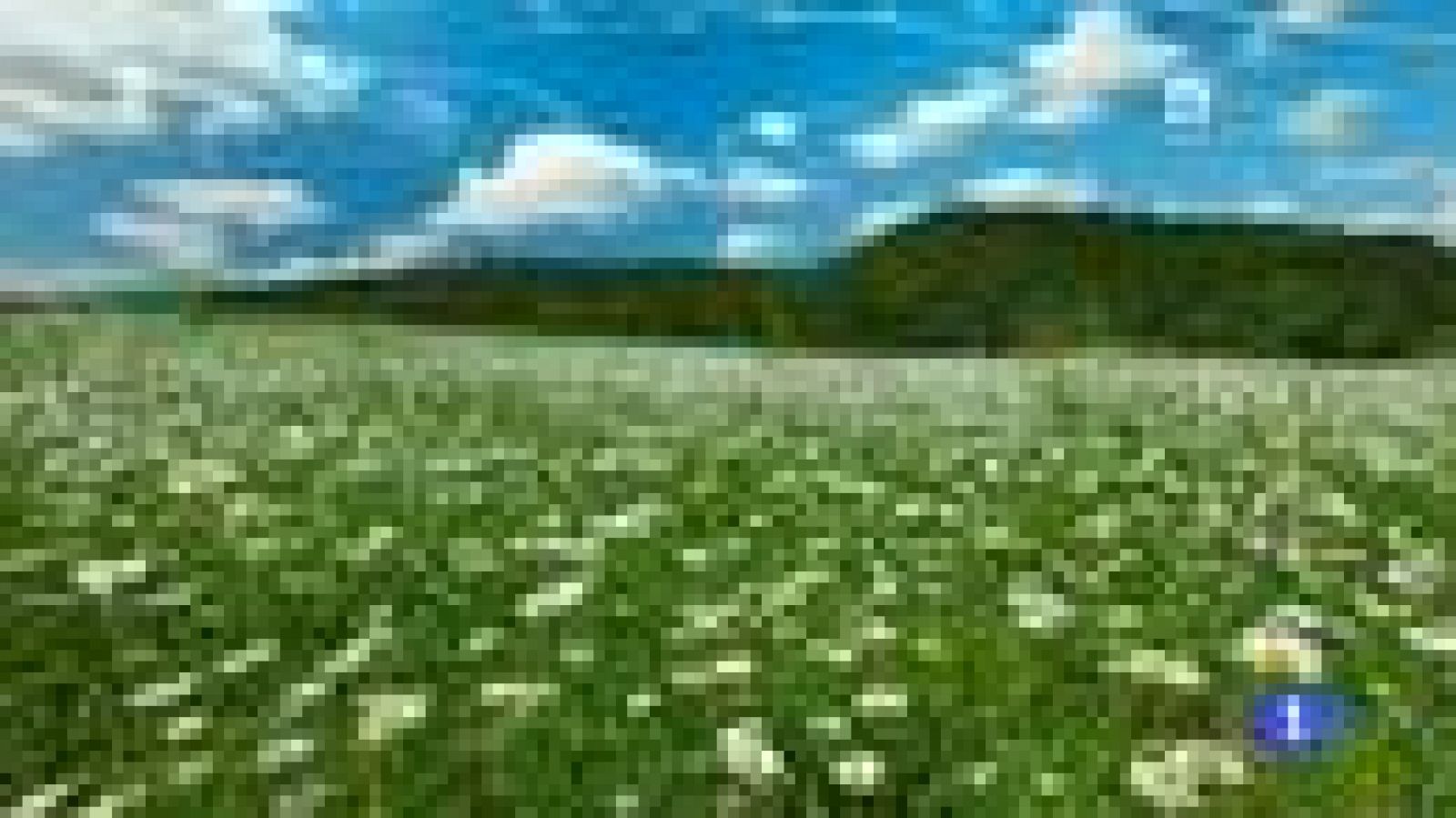 El tiempo en la Región de Murcia - 20/05/2016