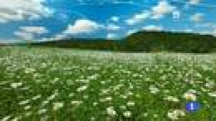 Noticias Murcia - El tiempo en la Región de Murcia - 20/05/2016