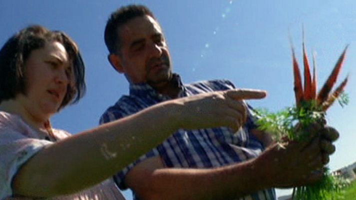 España Directo - Vino de zanahoria