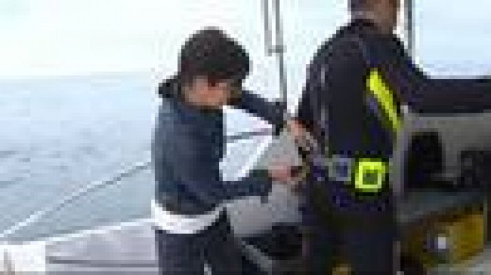 L'Informatiu - Vivim el Dia Internacional de la Biodiversitat 2016 a Torredembarra