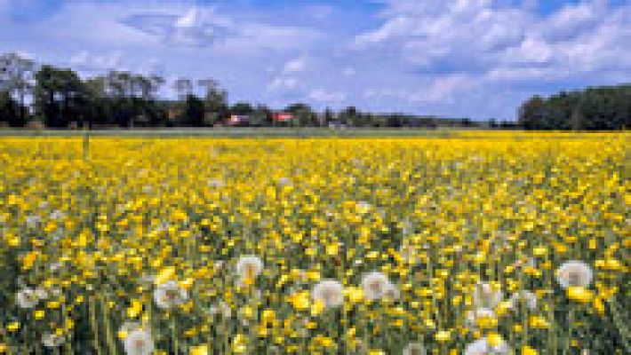 El tiempo - Predominio de cielos poco nubosos