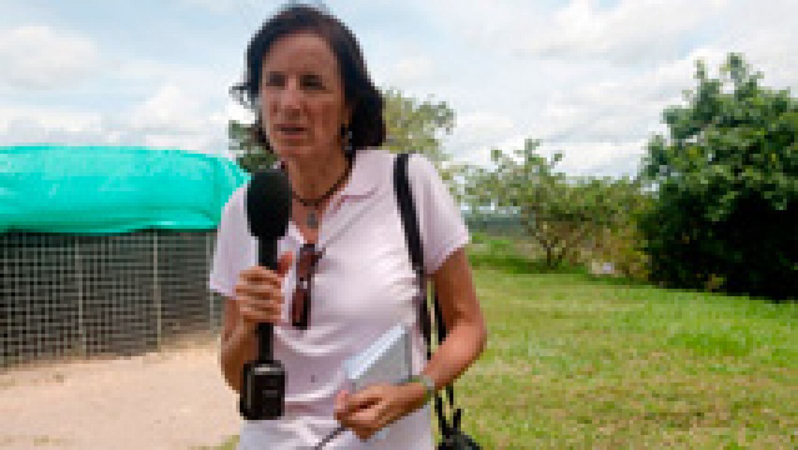 Sin programa: La periodista española Salud Hernández-Mora, desaparecida en Colombia | RTVE Play