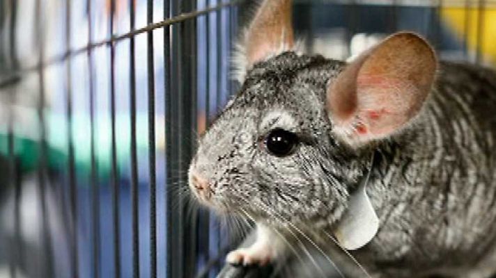 Saber y ganar - Saber y ganar - 23/05/16