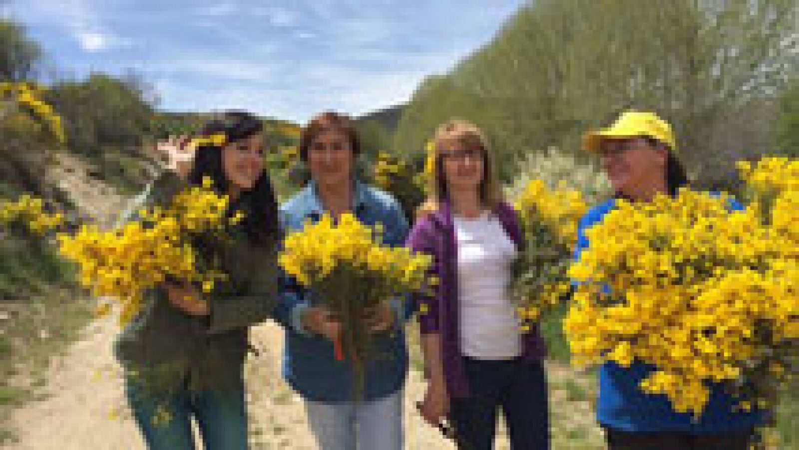 España Directo: El piorno tiñe los campos de amarillo | RTVE Play