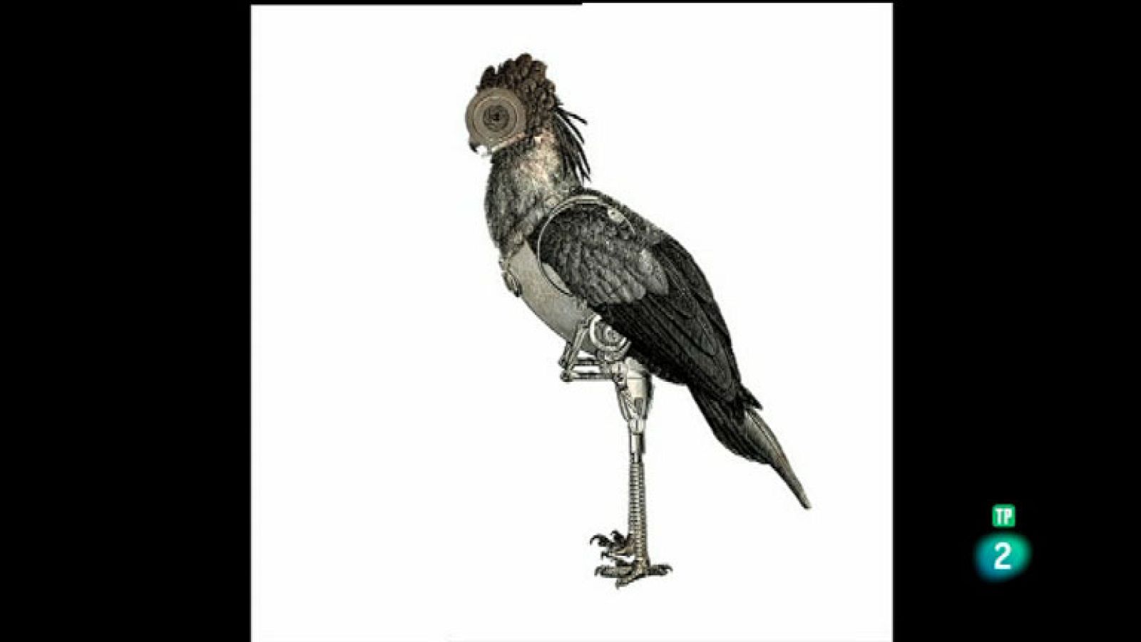 La Aventura del Saber. Serie Boek Visual. Celsius Pictor