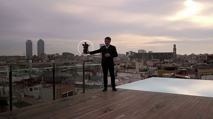 Economía de bolsillo - Seguros - Avance