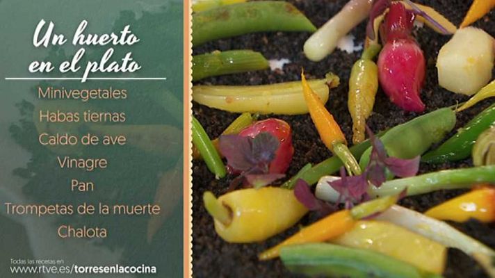 Torres en la cocina - Te llevamos al huerto