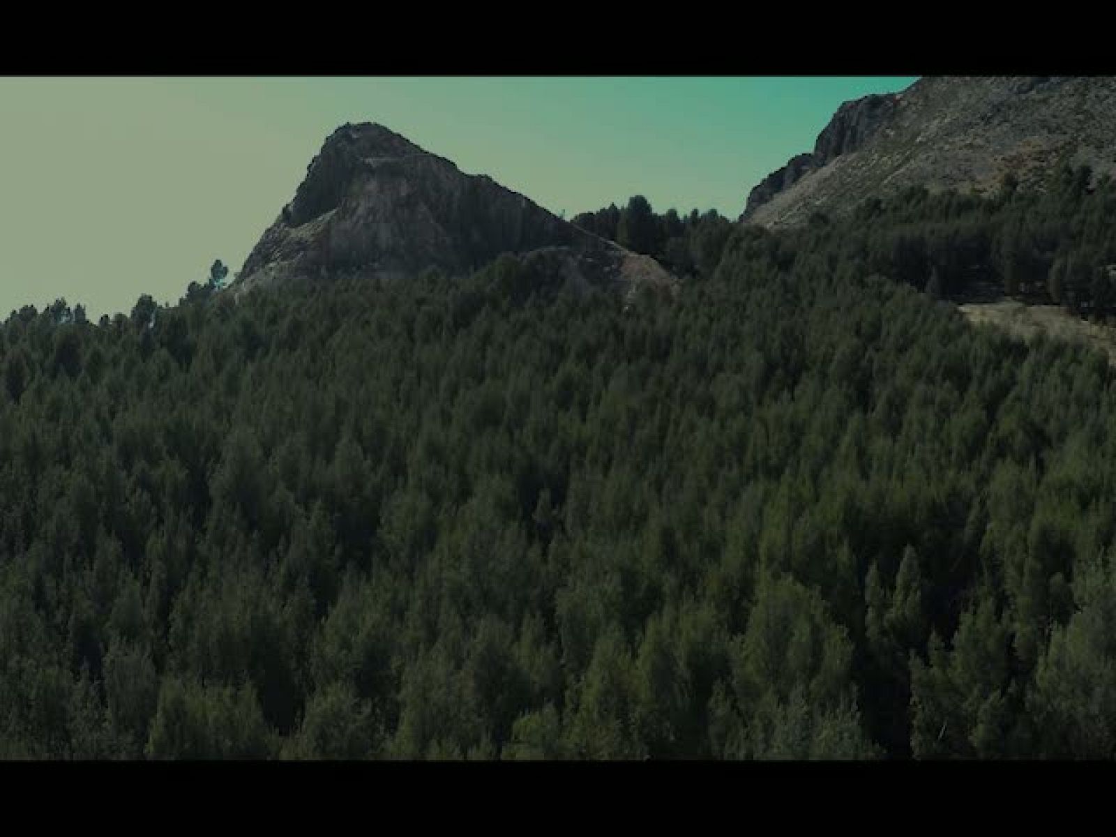 Sin programa: Furtivos | RTVE Play