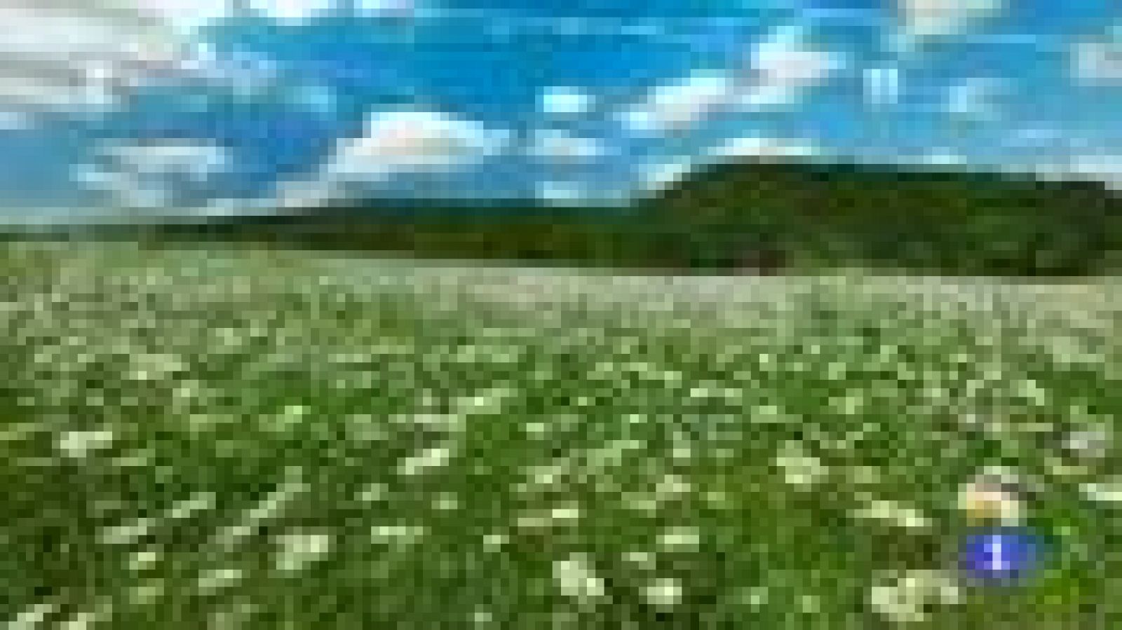 El tiempo en la Región de Murcia - 25/05/2016