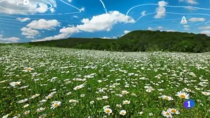 TeleCantabria - El tiempo en Cantabria - 25/05/16