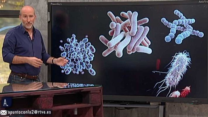 A punto con La 2 - A punto con La 2 - 26/05/16