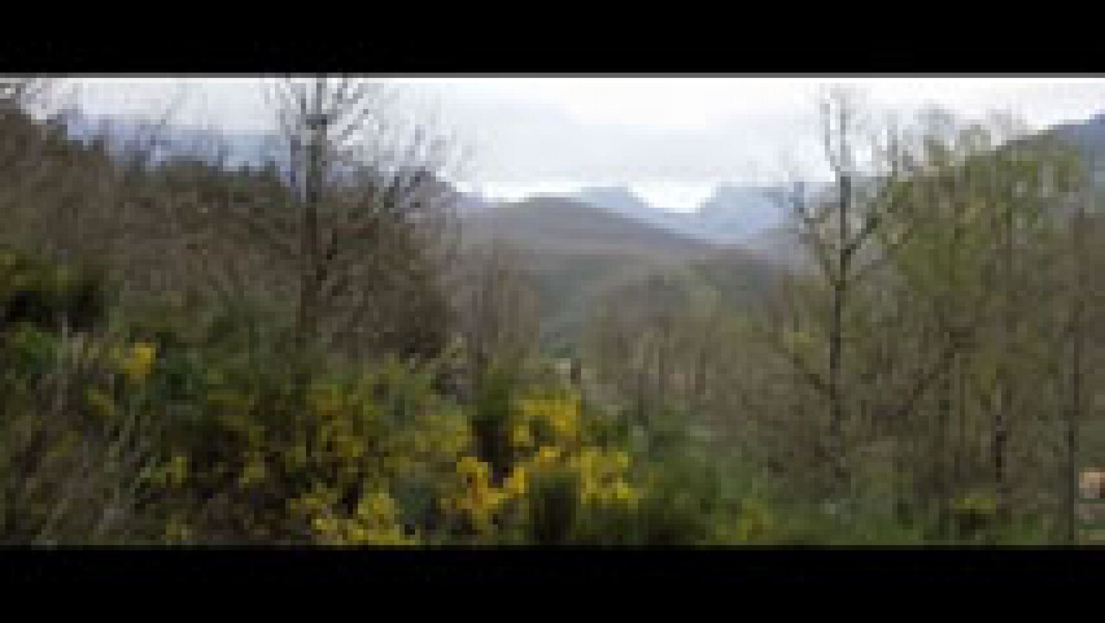 Red Natura 2000: Picos de Europa  | RTVE Play