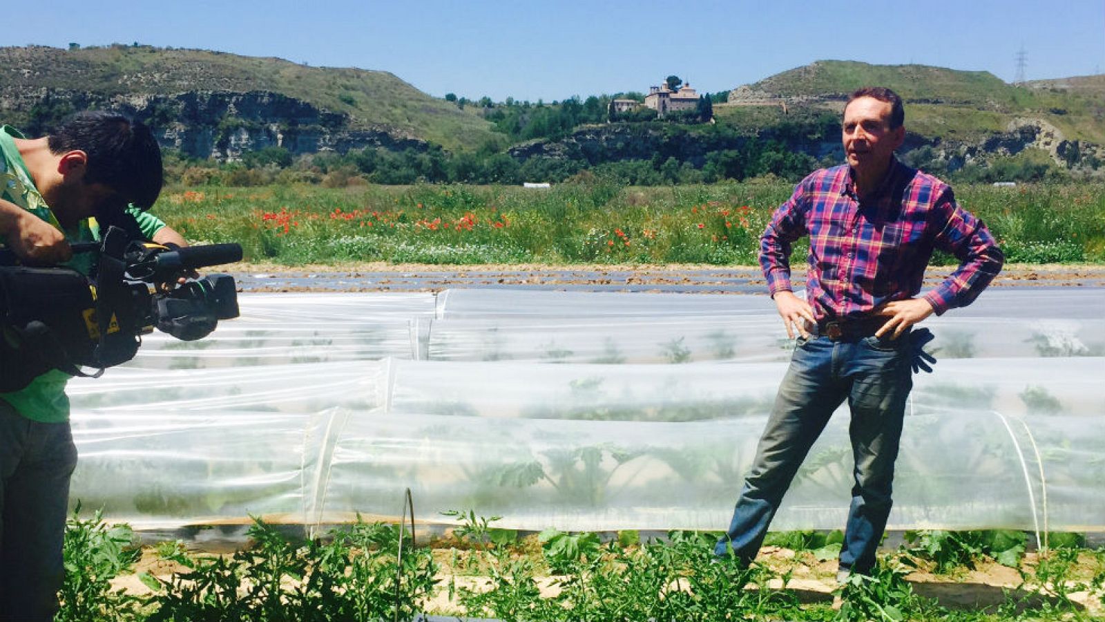 Su Majestad la lechuga