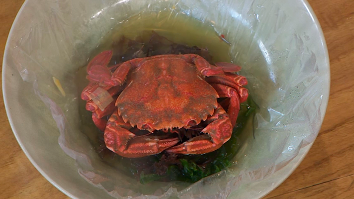 RTVE Cocina - Nécora a la carta fata