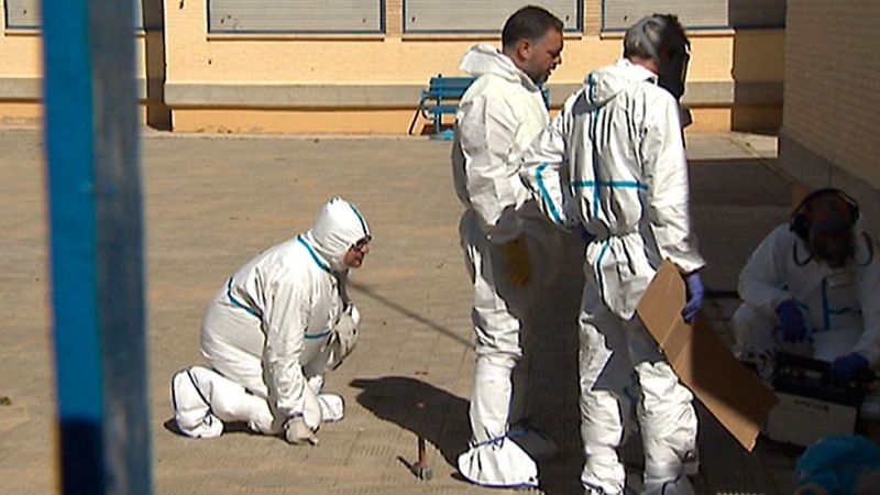 Dos colegios de Sevilla han tenido que cerrar sus puertas debido a una plaga de pulgas