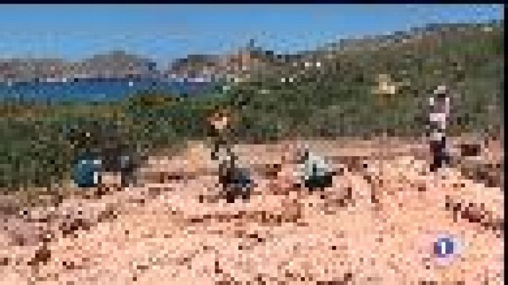 Informatiu Balear - Excavacions a Cabrera