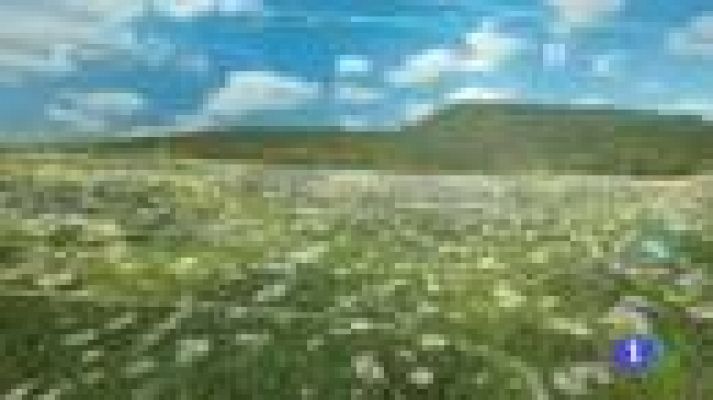 Noticias Murcia - El tiempo en la Región de Murcia - 27/05/2016