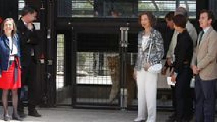 L'informatiu - Comunitat Valenciana - L'Informatiu - Comunitat Valenciana 2 - 27/05/16