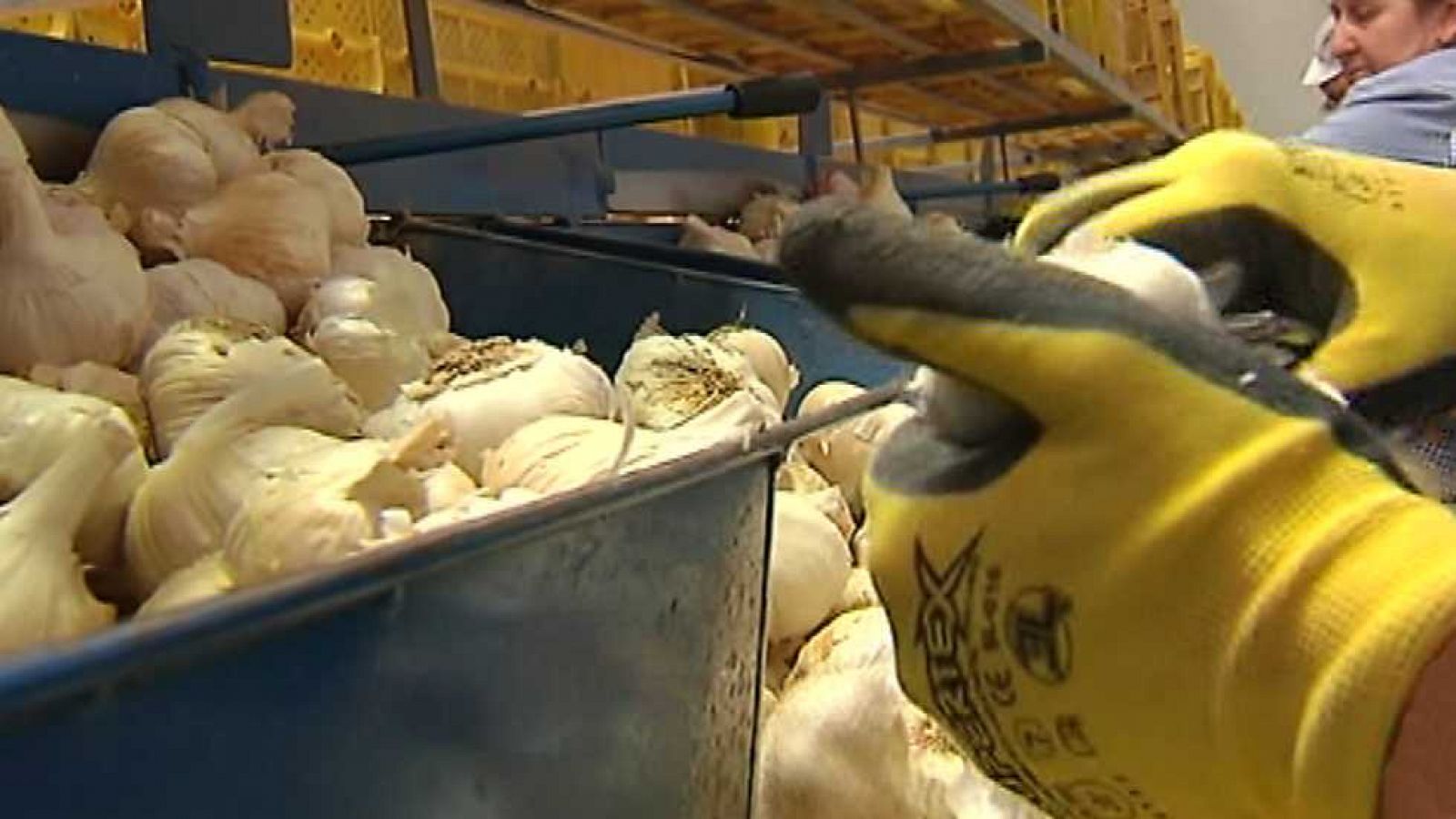 Agrosfera - 28/05/16 - ver ahora