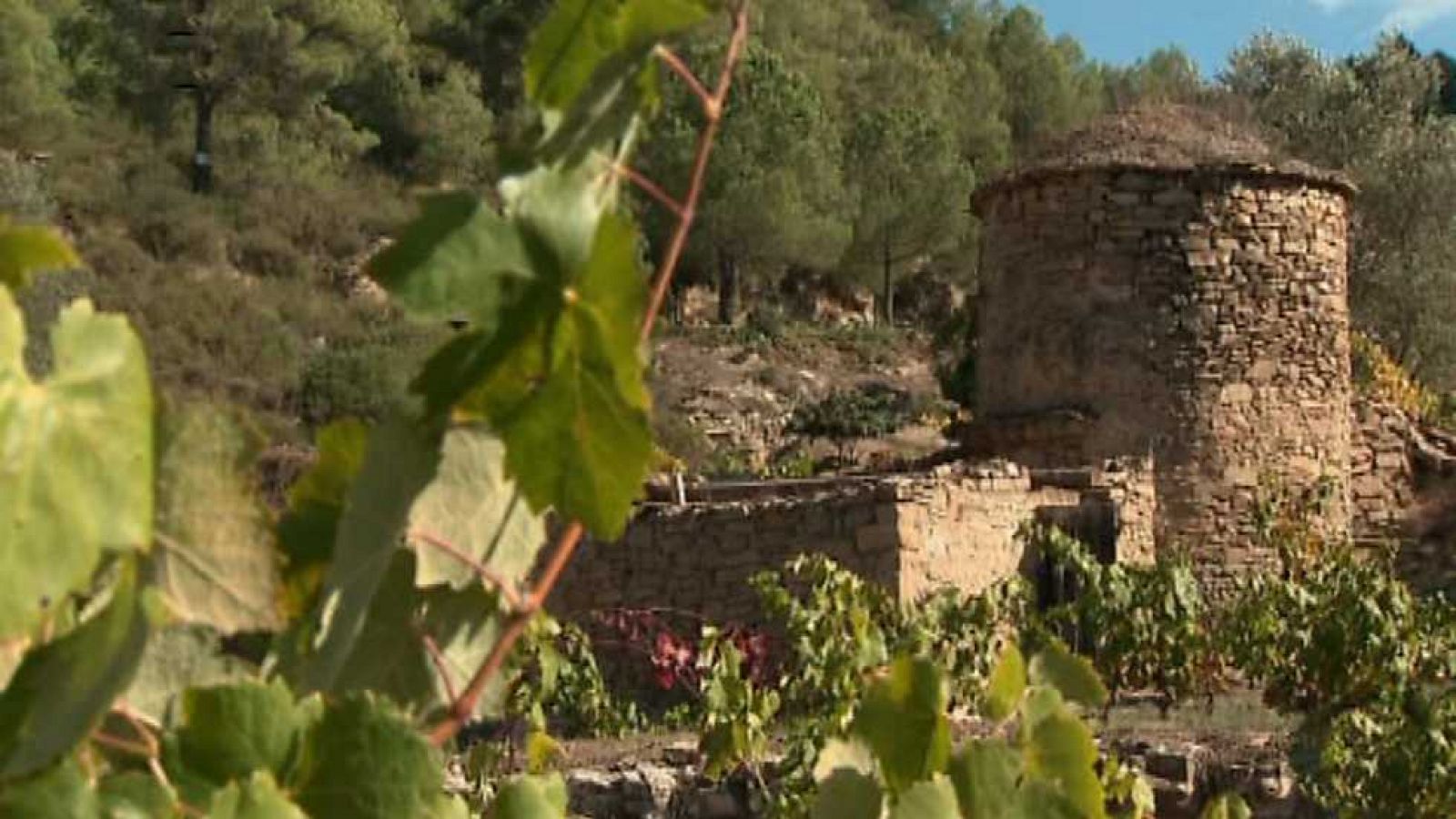 Zoom tendencias - El Bages, el discreto encanto de los sentidos