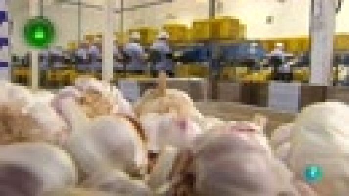 Agrosfera - Coopaman