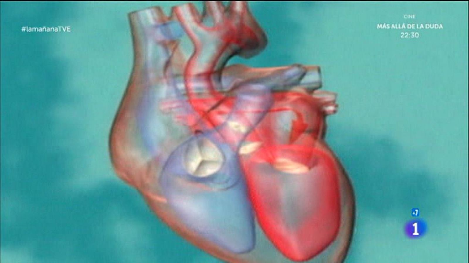 Peso y salud del corazón