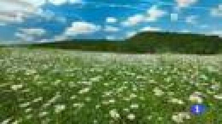 Noticias Murcia - El tiempo en la Región de Murcia - 30/05/2016