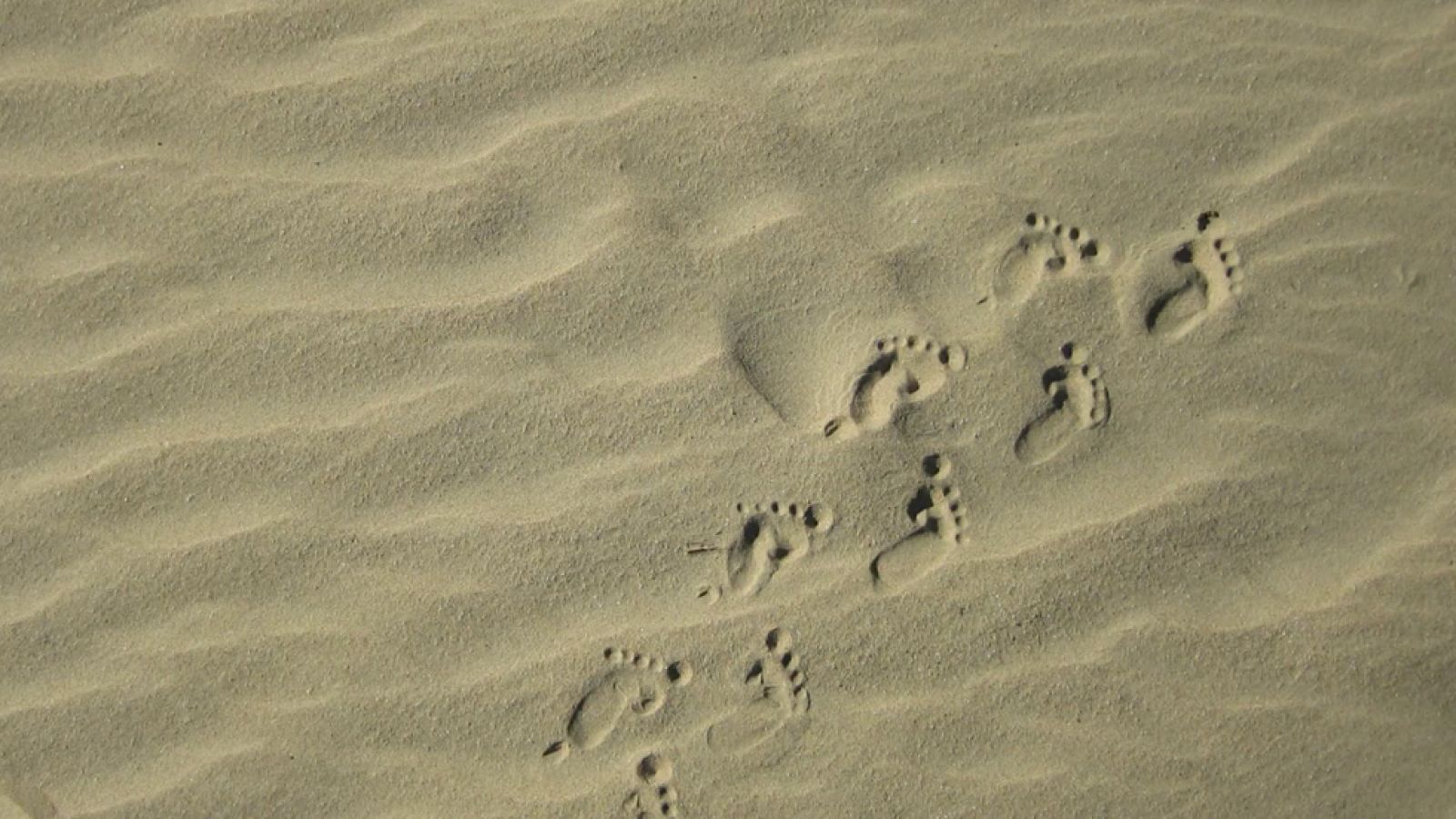 Sin programa: Huellas | RTVE Play