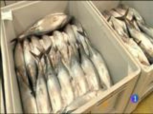 Panorama Regional - Panorama Regional 2 - 30/05/16