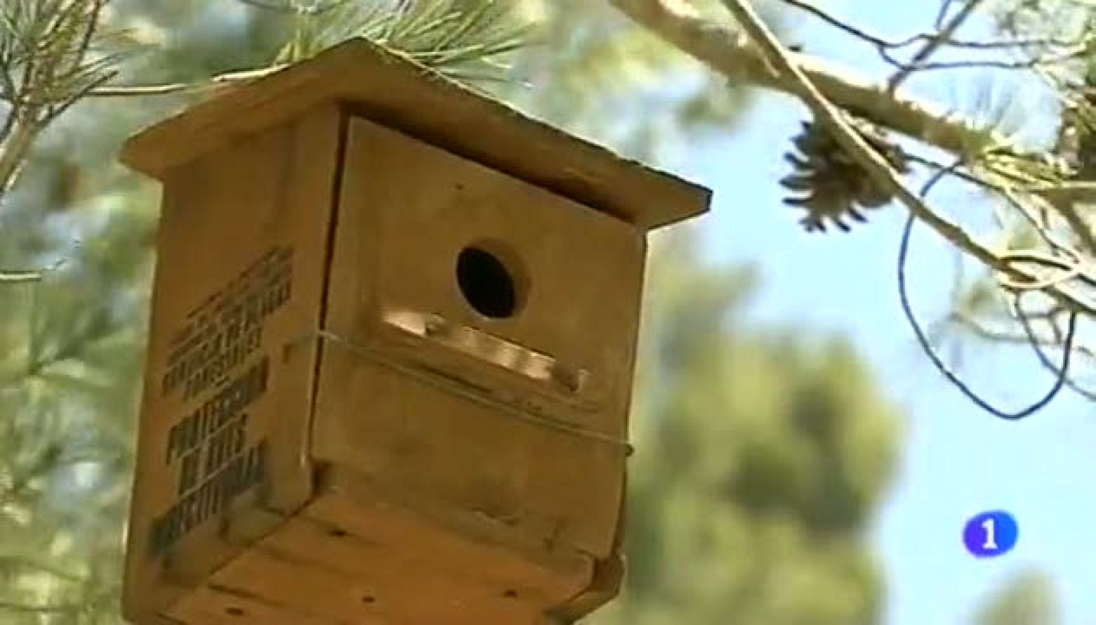 Custodia del territorio