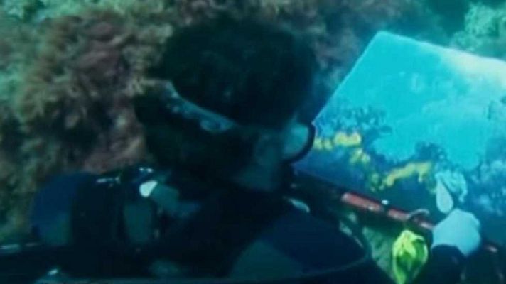 Tvemos - TVEmos Express - 30/05/16