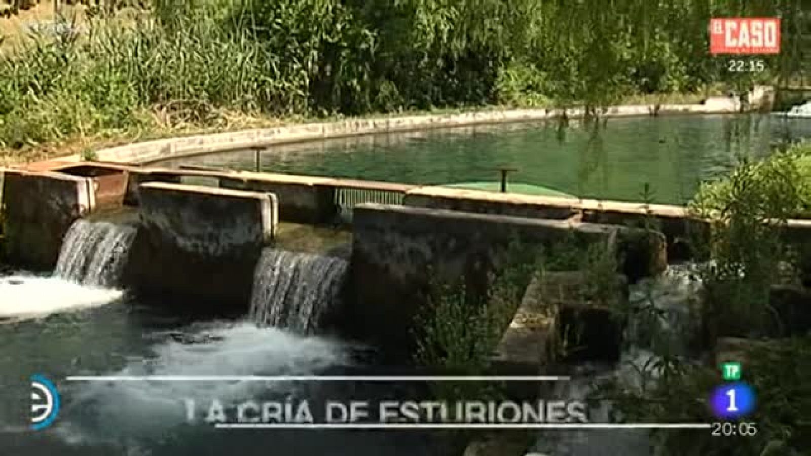 España Directo: Así se hace el caviar ecológico de Riofrío  | RTVE Play