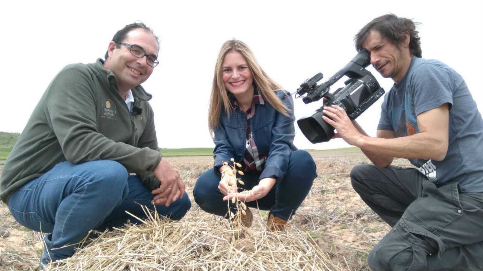 De Daganzo, el garbanzo