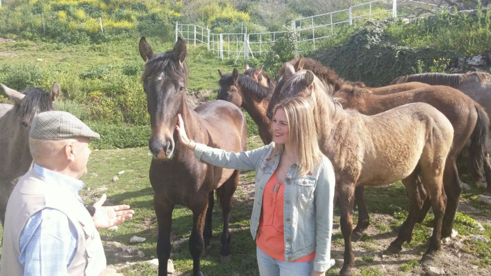 Pura raza, puro corazón