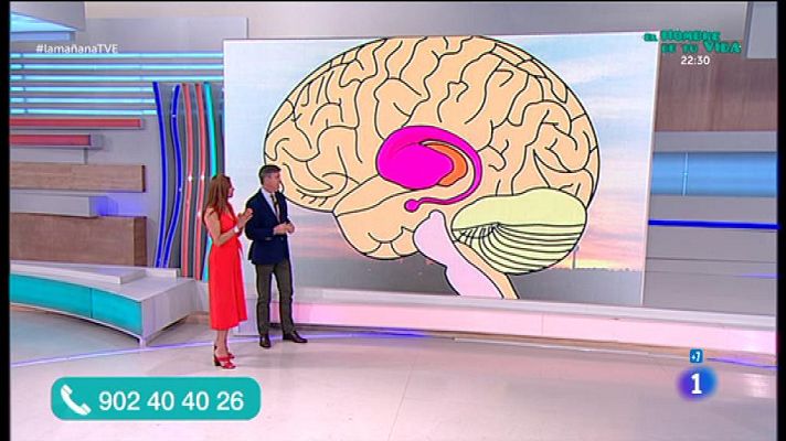 La mañana - Emociones y salud mental