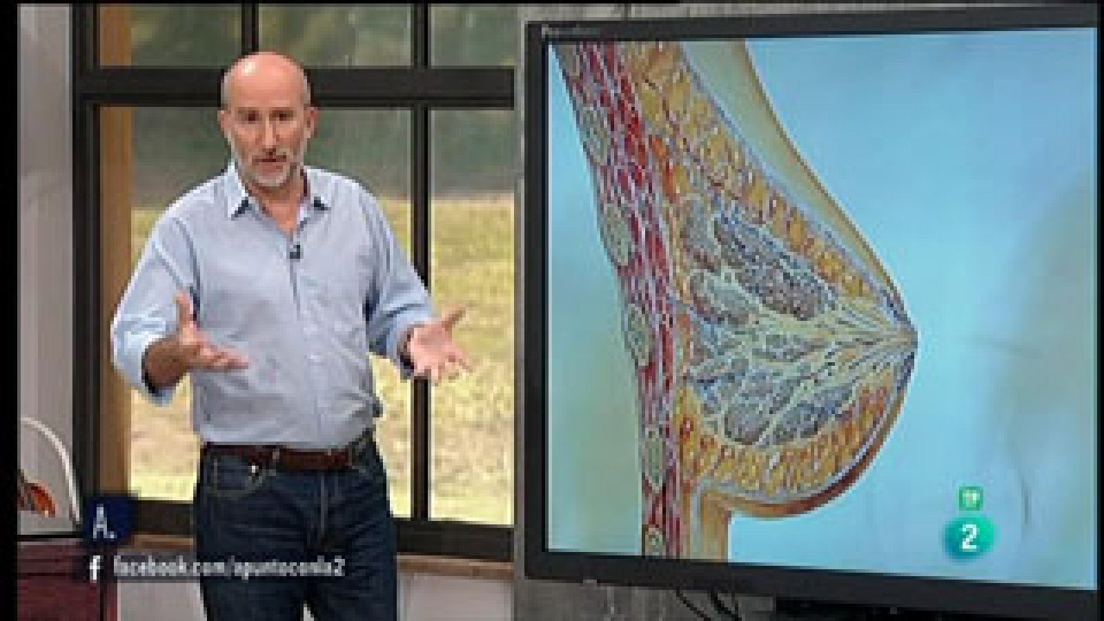 A punto con La 2 - Espacio y ciencia - Los mamíferos y la lactancia