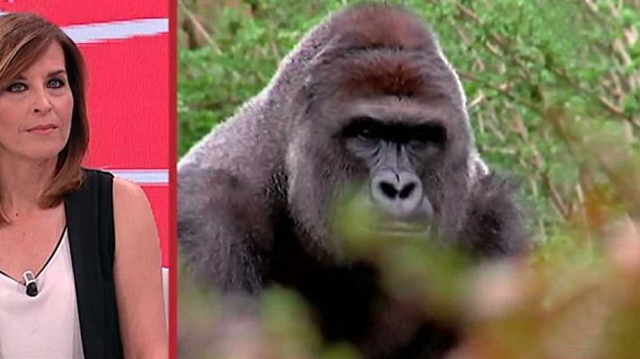 Amigas y conocidas - Amigas y conocidas - 03/06/16