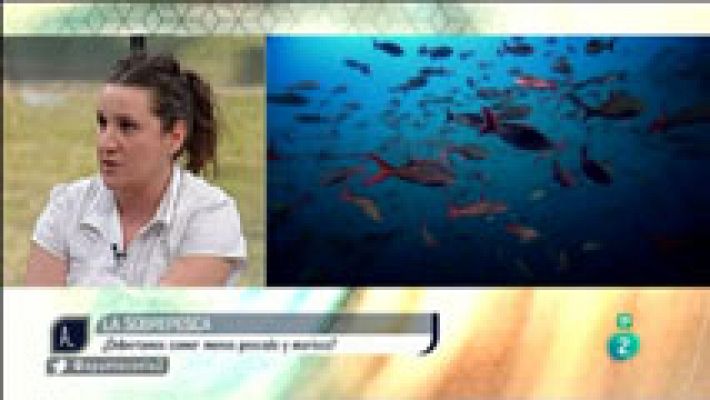 A punto con La 2 - La sobrepesca