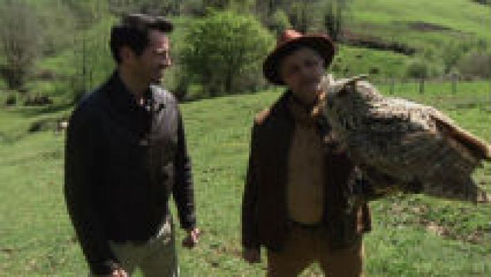 Aquí la Tierra - Búho real, duende de la noche