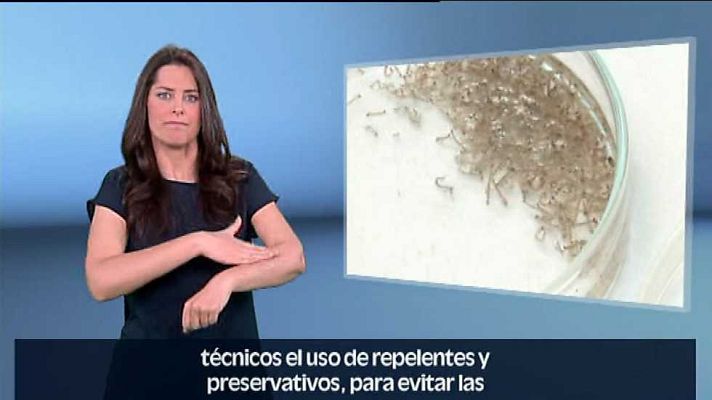 En lengua de signos - En lengua de signos - 04/06/16