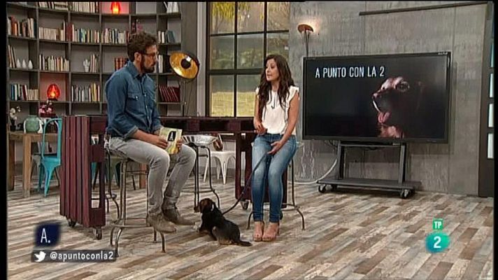 A punto con La 2 - Animales en casa - Los perros y los ruidos