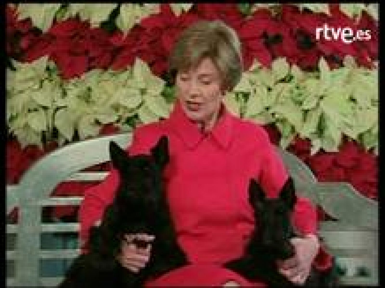 A pocas semanas de que el presidente Bush tenga que abandonar la Casa Blanca, se ha reunido con toda su familia y sus perros para recordar los 'buenos tiempos' vividos en la residencia oficial. Una de las estrellas ha sido el perro Barney, que debut