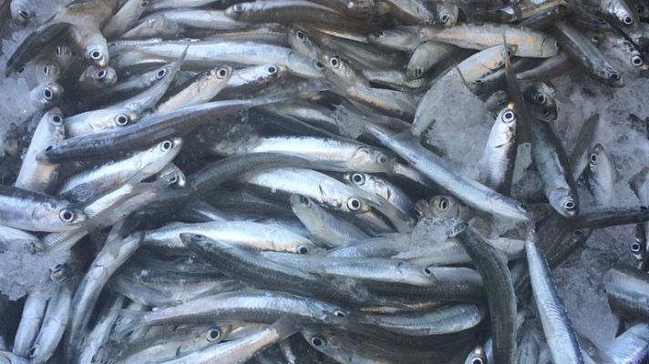 España Directo - El Puerto de Bonanza, cruce de caminos