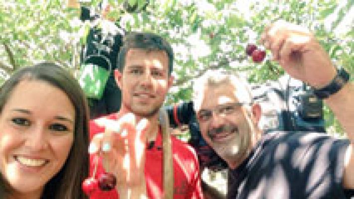 España Directo - Temporada de cerezas
