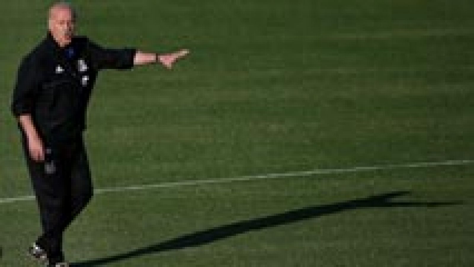 Del Bosque no da pistas de quién será el portero titular de la Euro | Ver