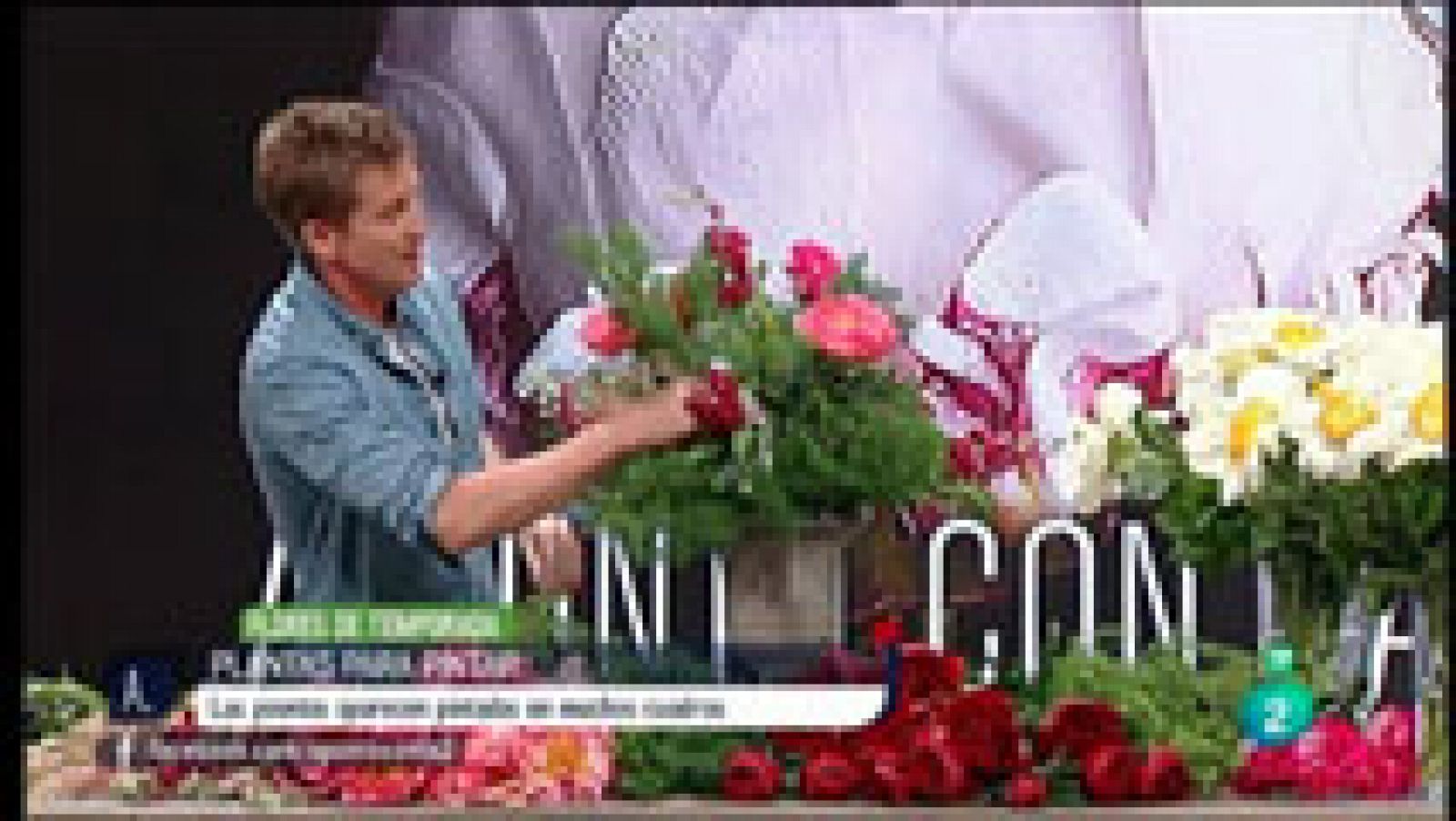 A punto con La 2 - Flores - Plantas para pintar