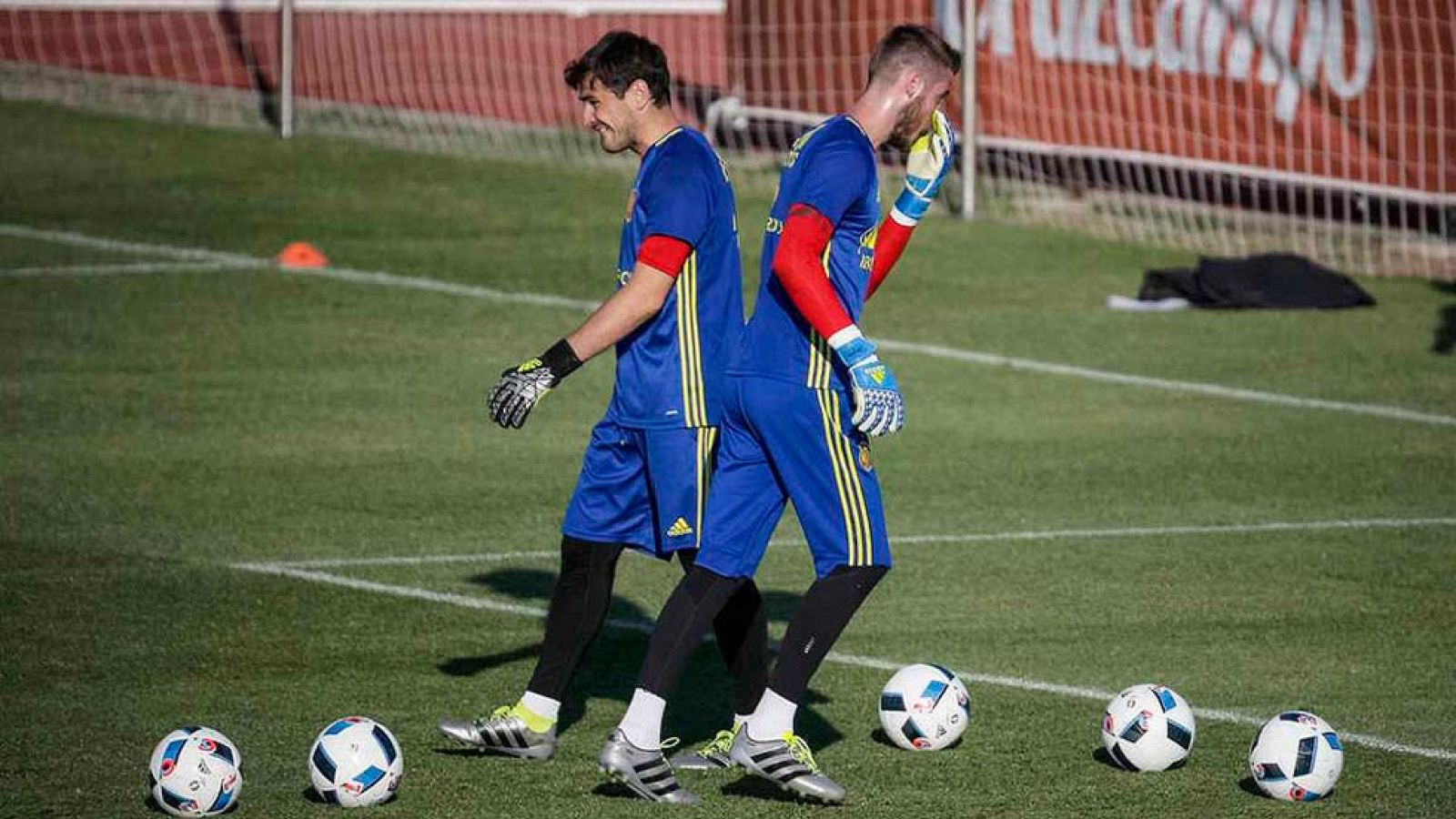 Del Bosque no desvela la duda de la portería: ¿Casillas o De Gea? | Ver