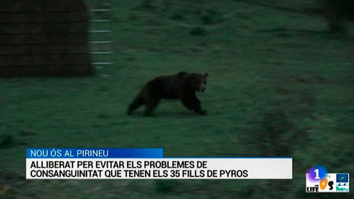 L'Informatiu - L'Informatiu 2 - 07/06/2016